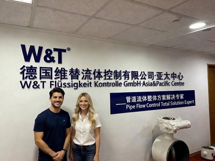 Der vorteil der deutschen firma verifique limited